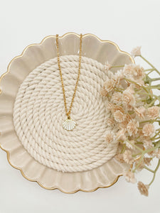 White Shell Necklace